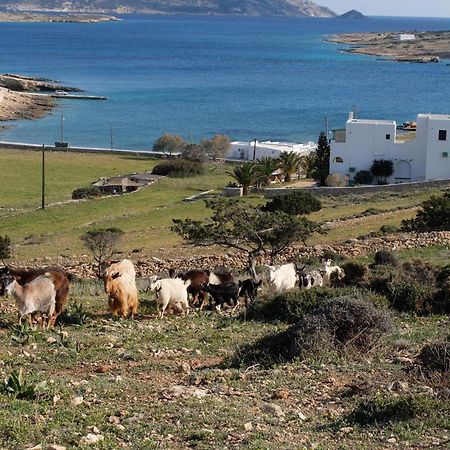 Alkionides Studios Koufonisia Exterior foto