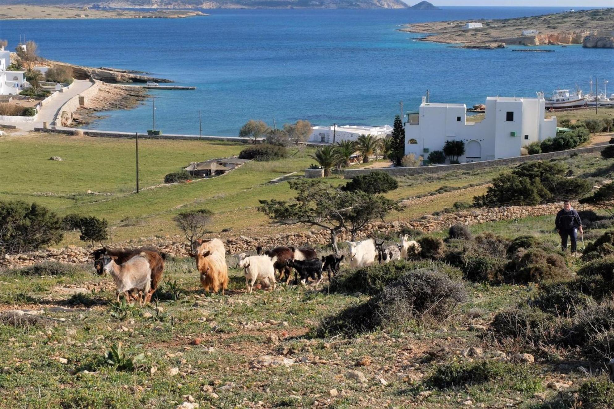 Alkionides Studios Koufonisia Exterior foto