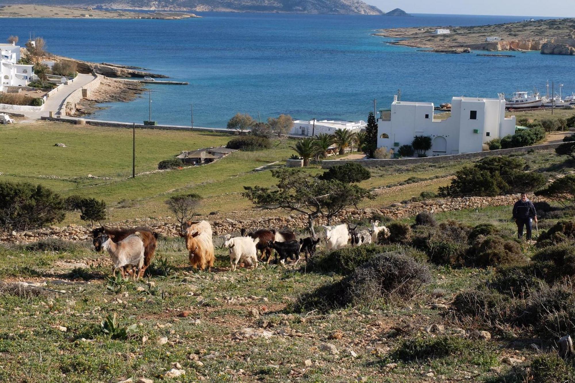 Alkionides Studios Koufonisia Exterior foto